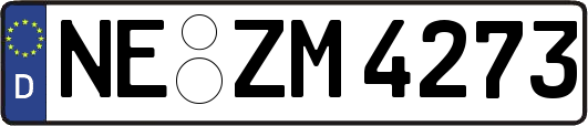 NE-ZM4273