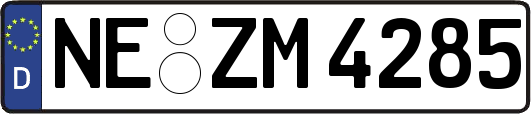 NE-ZM4285