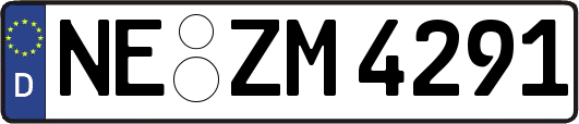 NE-ZM4291
