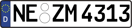 NE-ZM4313
