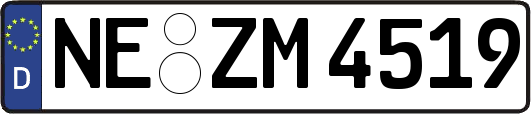 NE-ZM4519