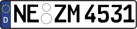 NE-ZM4531