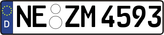 NE-ZM4593