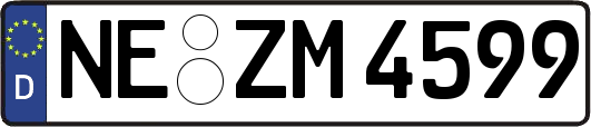 NE-ZM4599