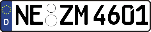 NE-ZM4601
