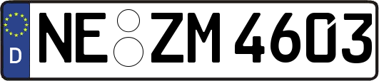 NE-ZM4603