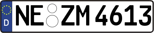 NE-ZM4613