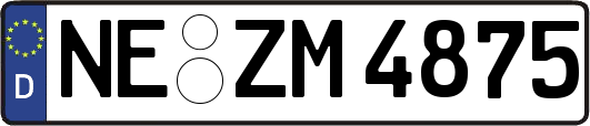 NE-ZM4875