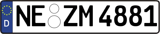 NE-ZM4881