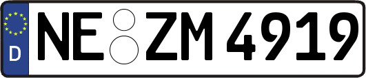 NE-ZM4919