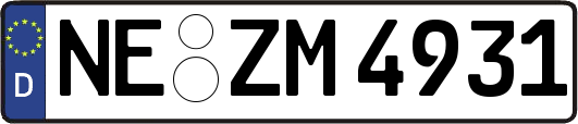 NE-ZM4931