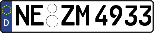 NE-ZM4933