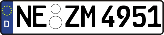 NE-ZM4951