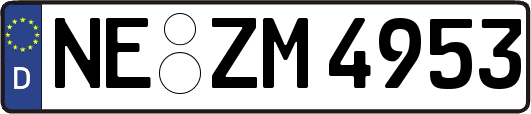 NE-ZM4953