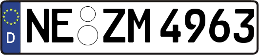 NE-ZM4963