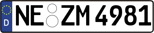 NE-ZM4981