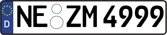 NE-ZM4999
