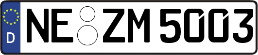 NE-ZM5003