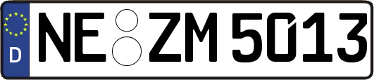 NE-ZM5013