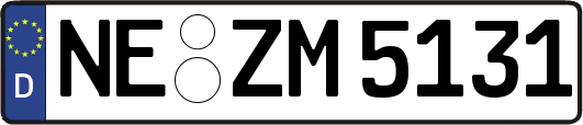 NE-ZM5131
