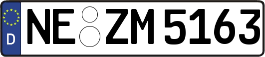 NE-ZM5163