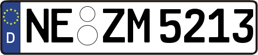 NE-ZM5213