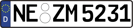 NE-ZM5231