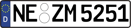 NE-ZM5251