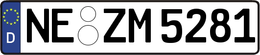 NE-ZM5281
