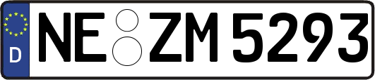 NE-ZM5293