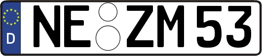 NE-ZM53