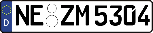NE-ZM5304
