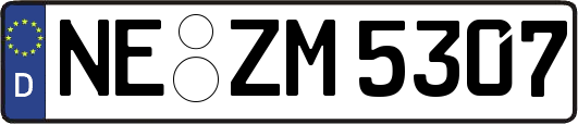 NE-ZM5307