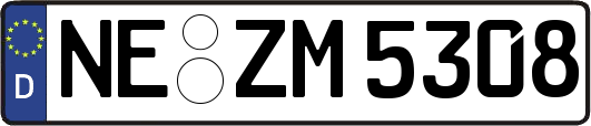 NE-ZM5308