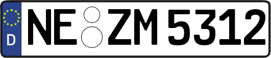 NE-ZM5312