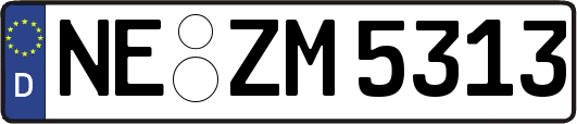 NE-ZM5313