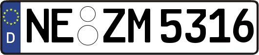 NE-ZM5316