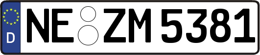 NE-ZM5381