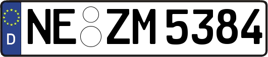 NE-ZM5384