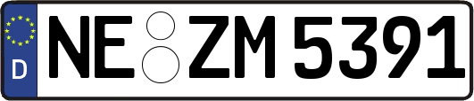 NE-ZM5391