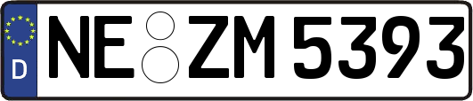 NE-ZM5393