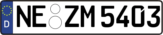 NE-ZM5403