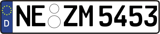 NE-ZM5453