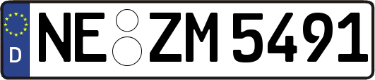 NE-ZM5491