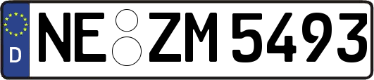 NE-ZM5493