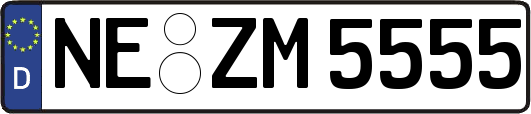 NE-ZM5555