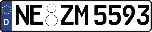 NE-ZM5593