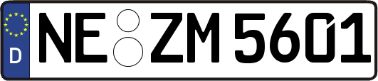 NE-ZM5601