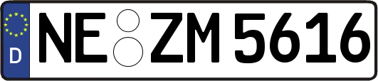 NE-ZM5616