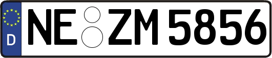 NE-ZM5856